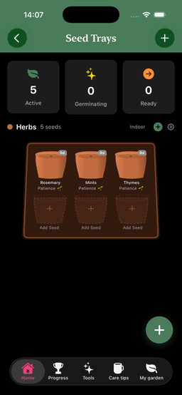Seed Trays