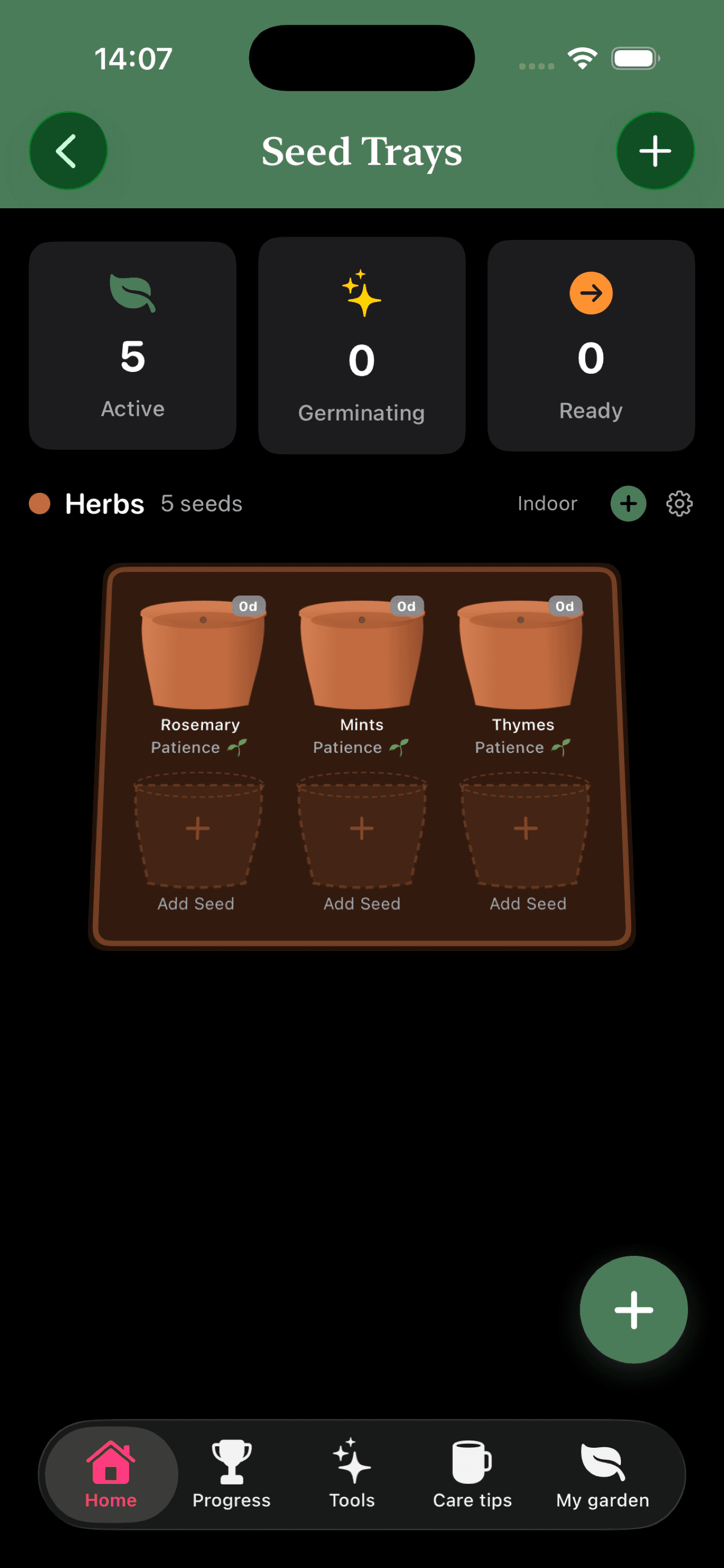 Seed Trays